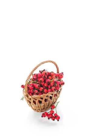 ripe red dogrose in a basket isolated on white backgroundの写真素材