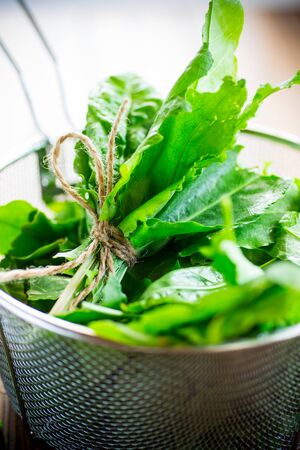 bunch of organic fresh green sorrel, on a wooden table.の写真素材