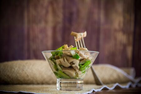 pickled mushroom salad with lettuce, onions and herbs in a glass bowlの写真素材