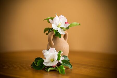 spring pink apple tree flowers in a clay vase on a wooden tableの写真素材