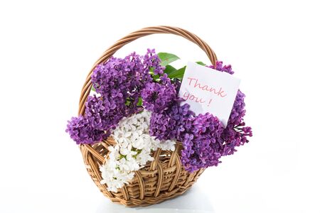 bouquet of beautiful blooming lilacs in a basket isolated on white backgroundの写真素材