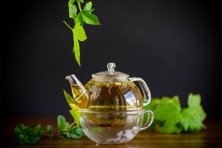 summer refreshing organic tea from currant leaves in a glass teapot on a wooden tableの写真素材