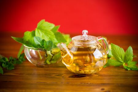 summer refreshing organic tea from currant leaves in a glass teapot on a wooden tableの写真素材