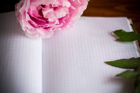 pink beautiful peony with petals, blank notebook for text on a wooden tableの写真素材