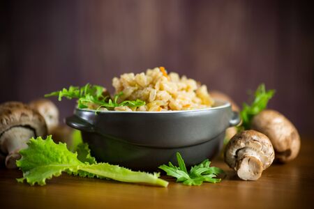 vegetarian cooked rice with mushrooms in a ceramic bowl on the tableの写真素材