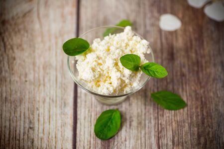 fresh organic homemade cottage cheese in a glass bowl on a wooden tableの写真素材