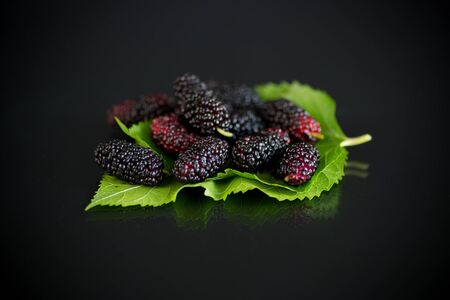 Mulberry berry with leaf on black backgroundの写真素材