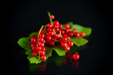 ripe summer berry red currant on a black backgroundの写真素材