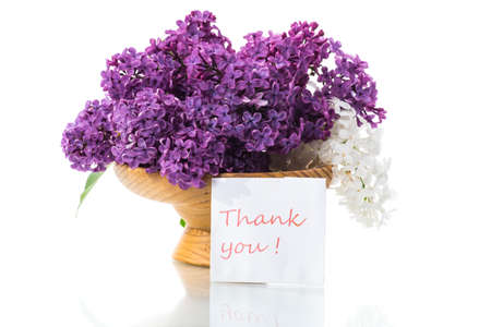 bouquet of beautiful blooming lilacs in a vase isolated on white backgroundの写真素材