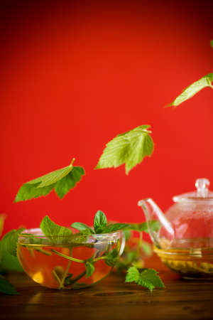 summer refreshing organic tea from currant leaves in a glass teapot on a wooden tableの写真素材