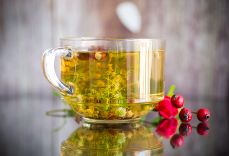 organic natural hot tea from various summer herbs in a glass cupの写真素材