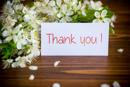 Thank you card and blooming spring branch with flowersの写真素材