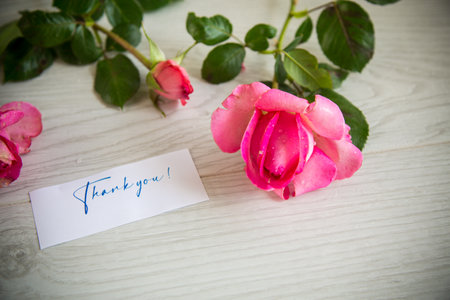 pink beautiful summer roses on wooden tableの写真素材