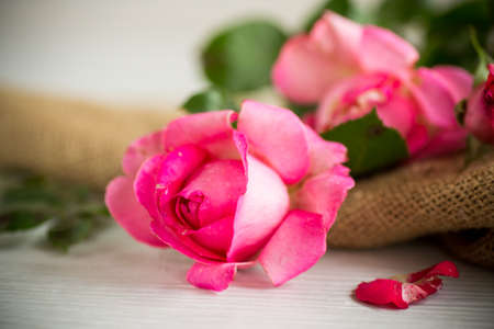 pink beautiful summer roses on a light wooden tableの写真素材