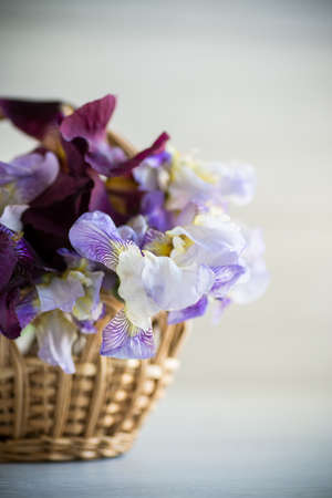 bouquet of beautiful blooming iris flowers on a light wooden backgroundの写真素材