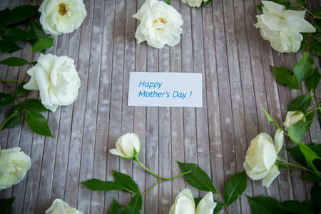 beautiful background of many white roses on a light woodenの写真素材