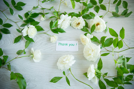 beautiful background of many white roses on a light wooden