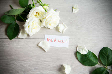 beautiful background of many white roses on a light woodenの写真素材