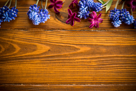 Wooden background with spring flowers and empty space for text.の写真素材