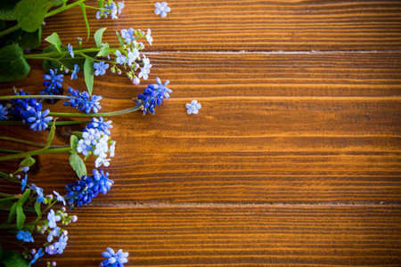 Wooden background with spring flowers and empty space for text.の写真素材