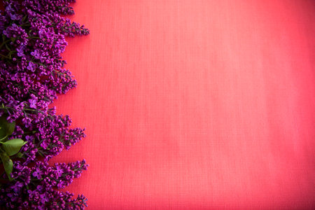 The beautiful lilac on a wooden background