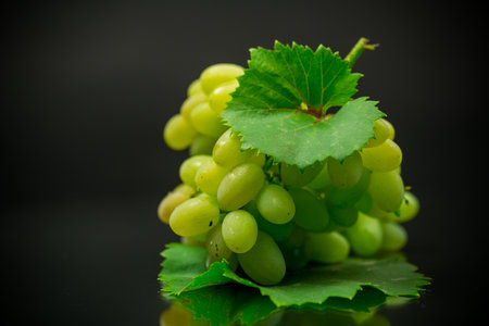 A bunch of ripe green grapes with leaves, isolated on a black background.の写真素材