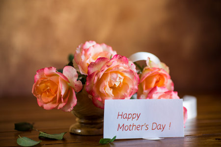 Beautiful blooming yellow and pink rose flowers on abstract brown backgroundの写真素材