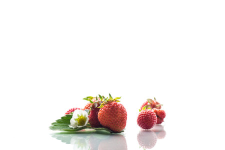 red ripe strawberry spring on a white background.の写真素材