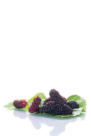 ripe black mulberry berries with leaves, isolated on white background.の写真素材