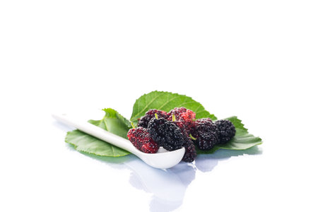 ripe black mulberry berries with leaves, isolated on white background.の写真素材