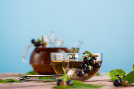 herbal tea from current leaves and berries in a cup and in a teapot, isolated on blue backgroundの写真素材