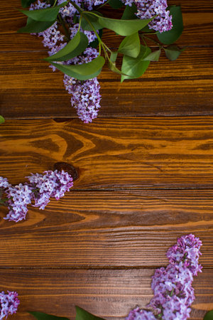 Purple lilac flowers on wooden background.の写真素材