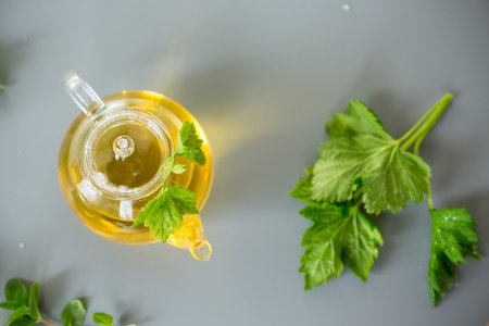 Aromatic drink from mint and currant leaves in a teapot and cup.の写真素材
