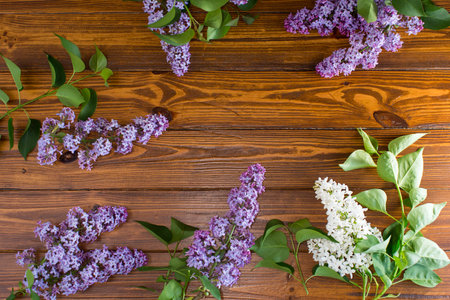 Purple lilac on top on wooden surface with blank space.の写真素材