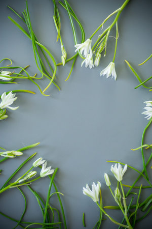 Frame of white flowers on a gray background.