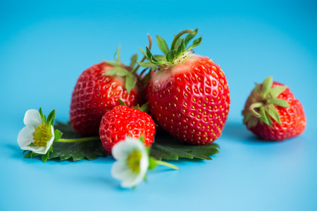 Ripe strawberries on a stylish blue surface.の写真素材
