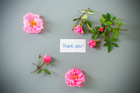 Pink petals and branches with buds with gratitude.の写真素材