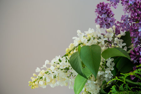 Elegant floral arrangement of lilacs on a gray background.の写真素材