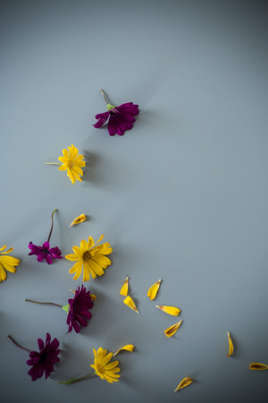 Purple and yellow flower arrangement on gray background.