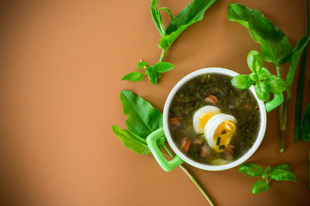 Traditional Ukrainian sorrel borscht with egg on brown background.の写真素材