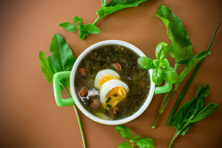Traditional Ukrainian sorrel borscht with egg on brown background.の写真素材
