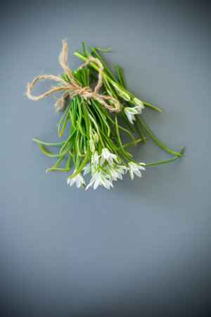 Bunch of white spring flowers on a gray background.の写真素材