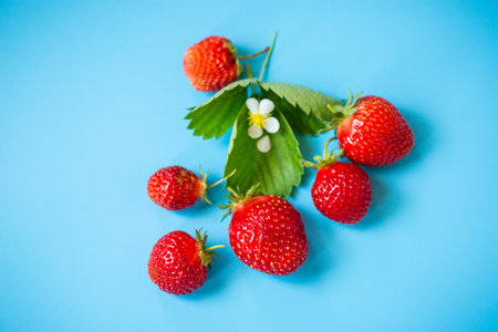 Ripe red strawberries on a blue background from above.の写真素材
