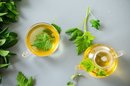 Aromatic drink from mint and current leaves in a teapot and cup.