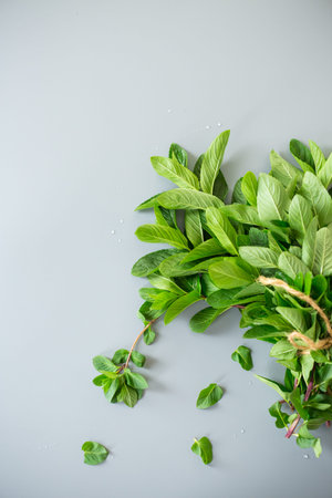 Green mint leaves close-up on stone background.