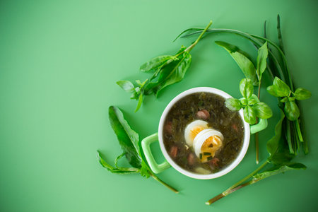 Ukrainian dish borscht with greens and eggs on a pastel background.の写真素材