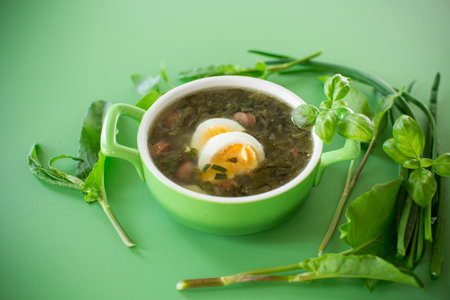 Appetizing spring sorrel borscht isolated on a green background.の写真素材