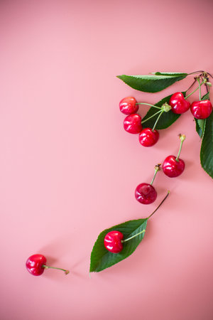Ripe red cherries on pink background from above.の写真素材