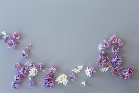 Romantic lilac bouquet on gray background.