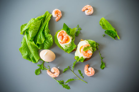 Light sandwich with seafood and greens on gray background.の写真素材
